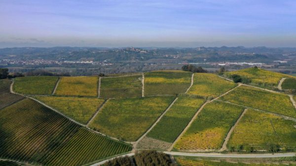 Monvigliero Verduno Langhe Piemont